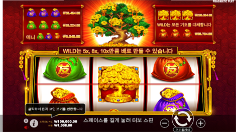 피라미드 보난자